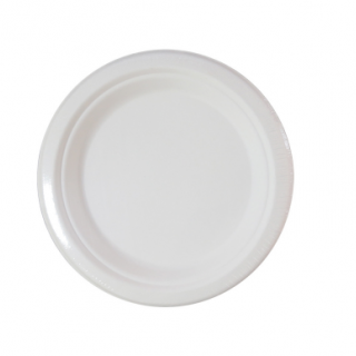 Disposable Sugarcane Plates